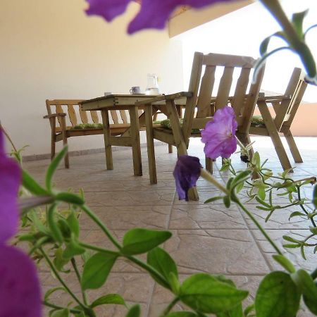 Guesthouse Dila Galovac  Dış mekan fotoğraf