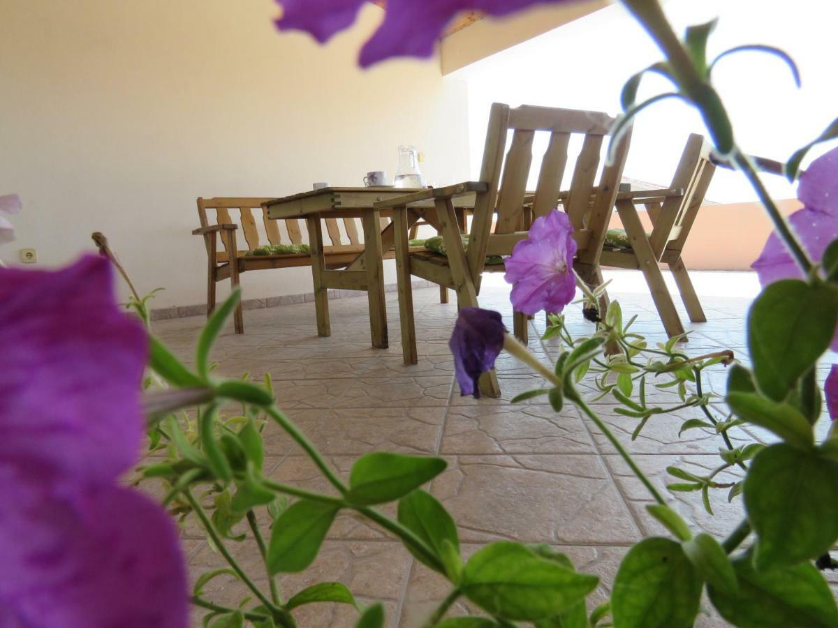 Guesthouse Dila Galovac  Dış mekan fotoğraf